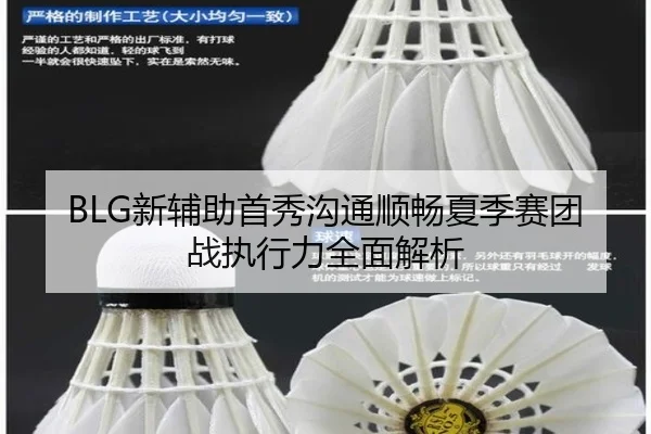 BLG新辅助首秀沟通顺畅夏季赛团战执行力全面解析
